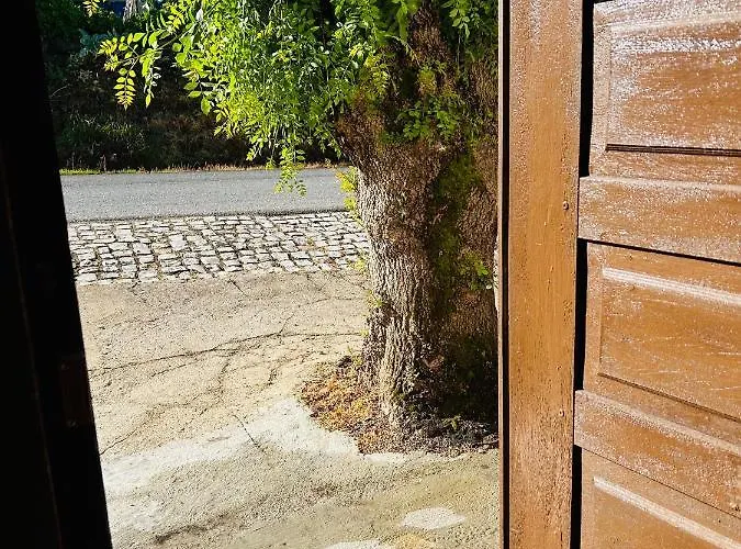 Mae Carril شاليه