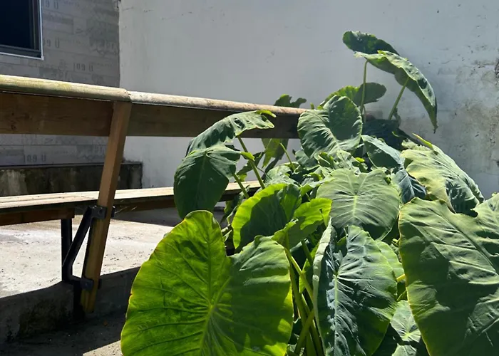 شاليه Mae Carril